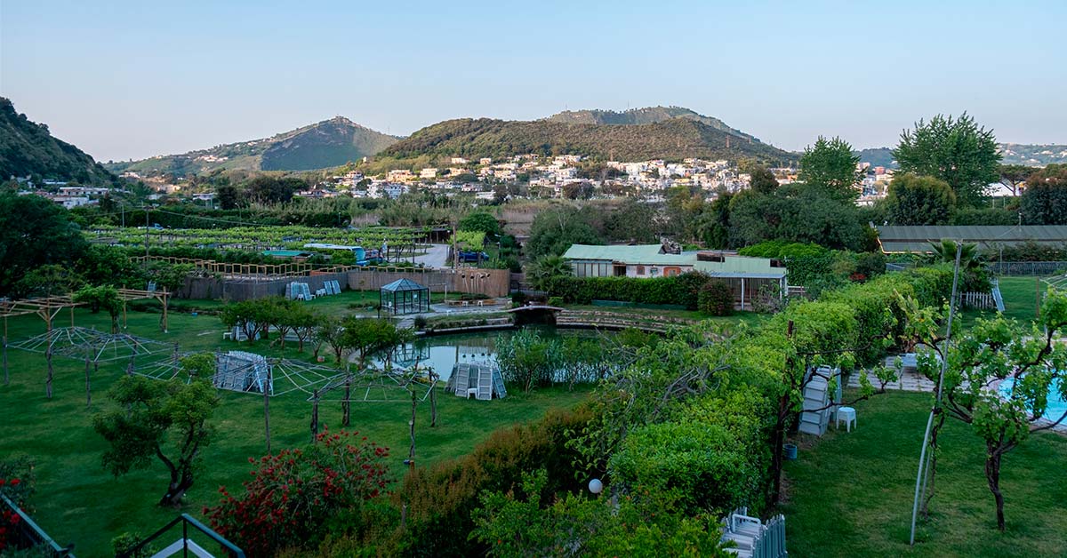 melanze-off-campi-flegrei