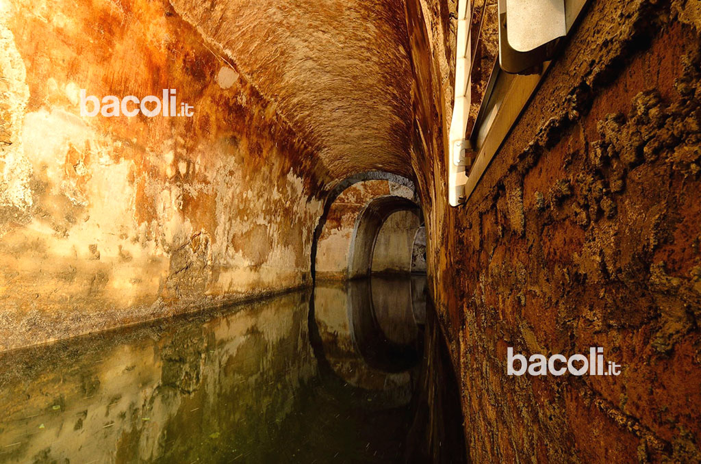 grotta dragonara miseno