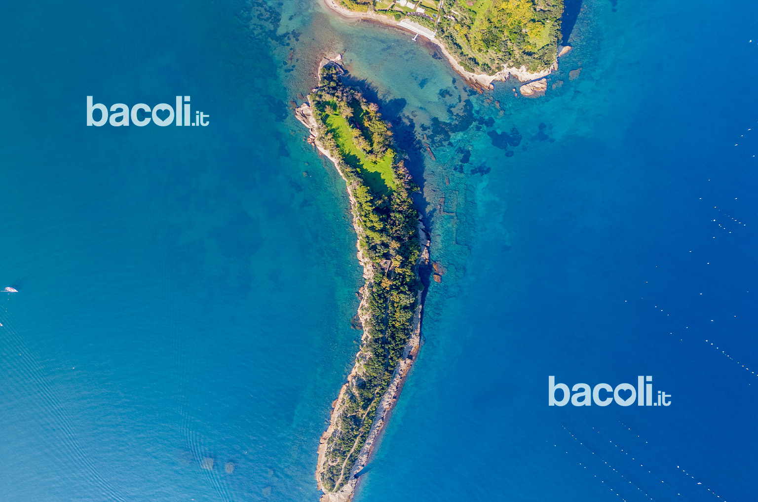 isola-punta-pennata-bacoli-resti-archeologici