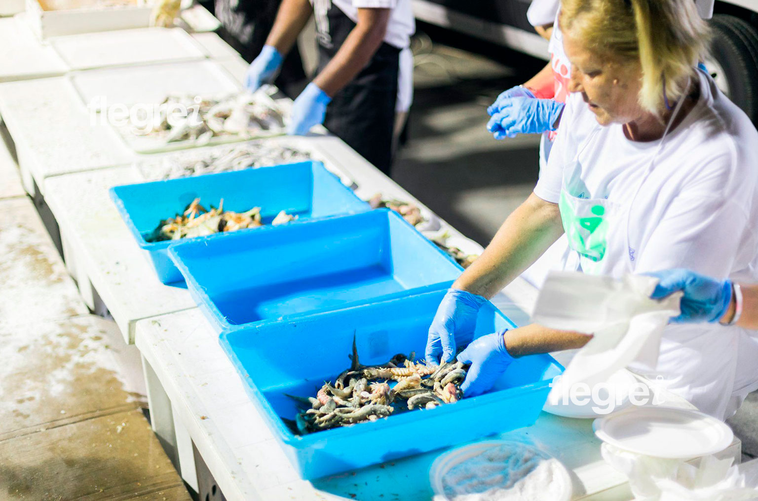 sagra-del-mare-monte-di-procida-2024