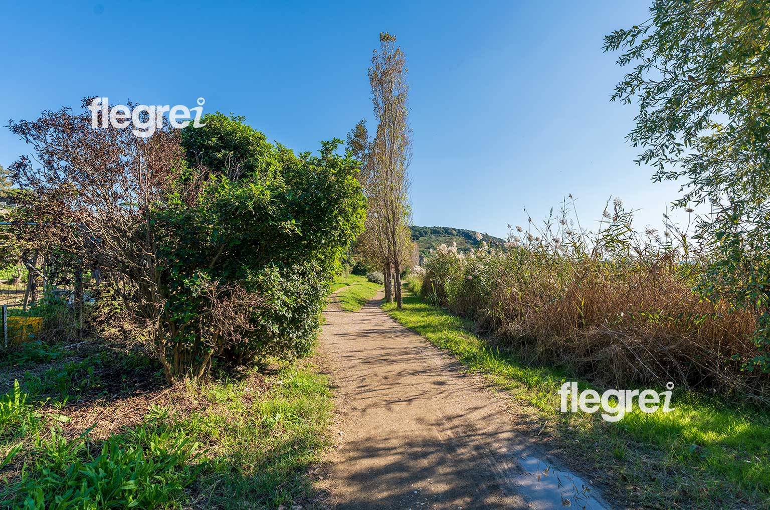 sentiero-trekking-lago-averno-pozzuoli