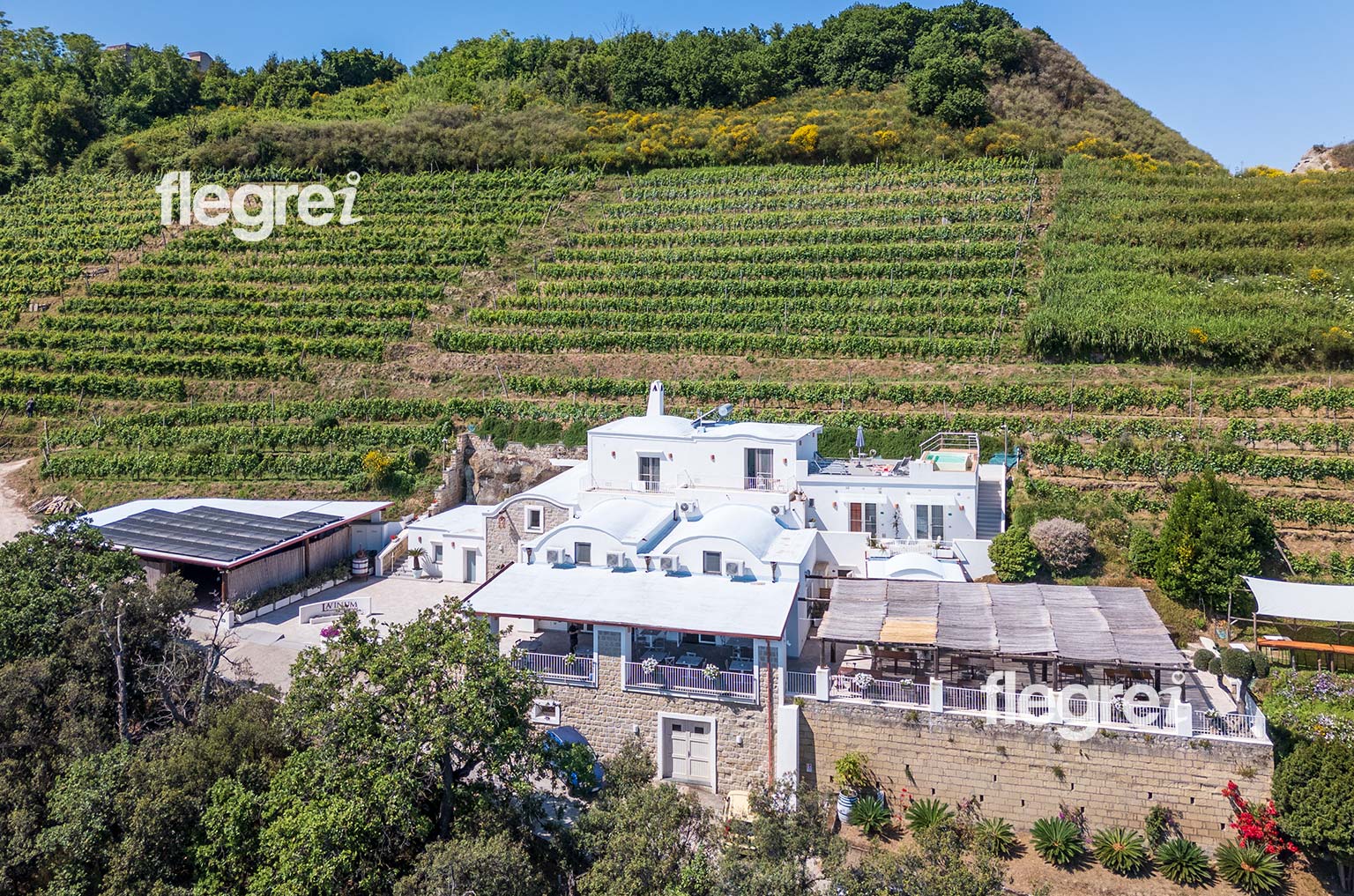 lavinum-wine-resort-monte-di-procida