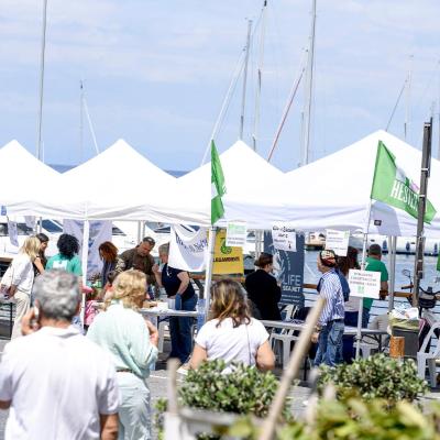 Scheriacup24 2025 Ischia 08