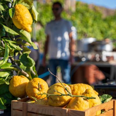 Festa Limone Procida 2025 0032