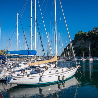 Festa Limone Procida 2025 0041