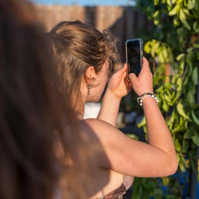 Festa Limone Procida 2025 0119