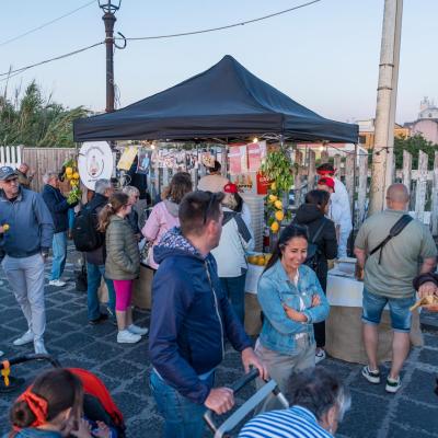 Festa Limone Procida 2025 0239