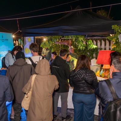 Festa Limone Procida 2025 0393