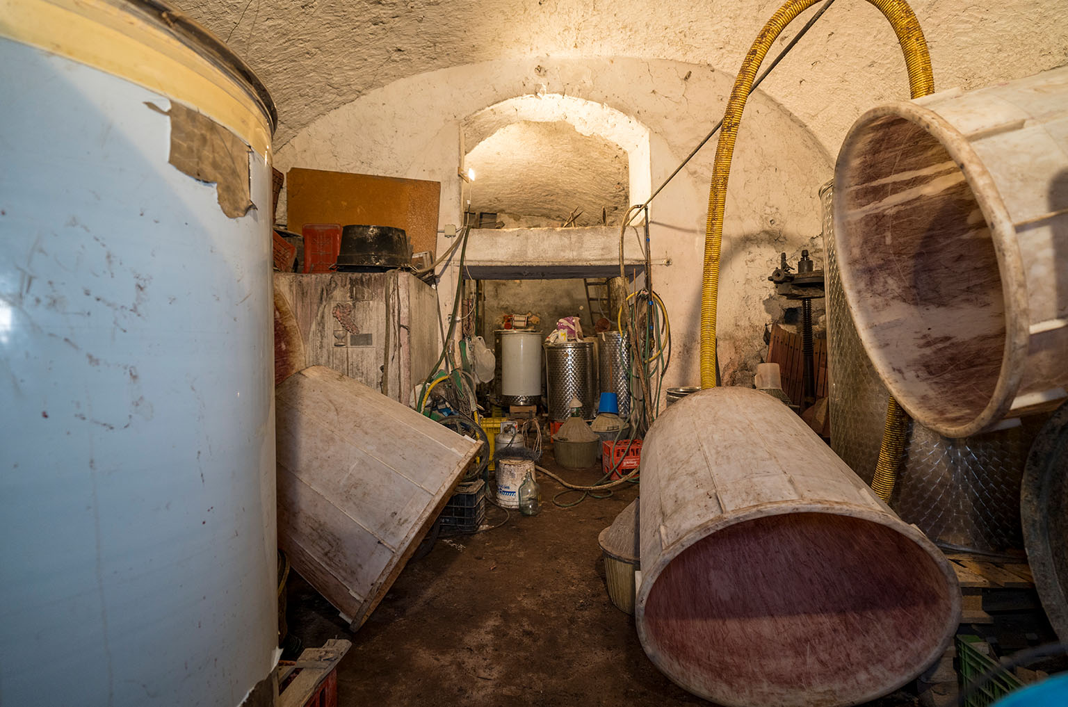 azienda-agricola-lubrano-lavadera-procida