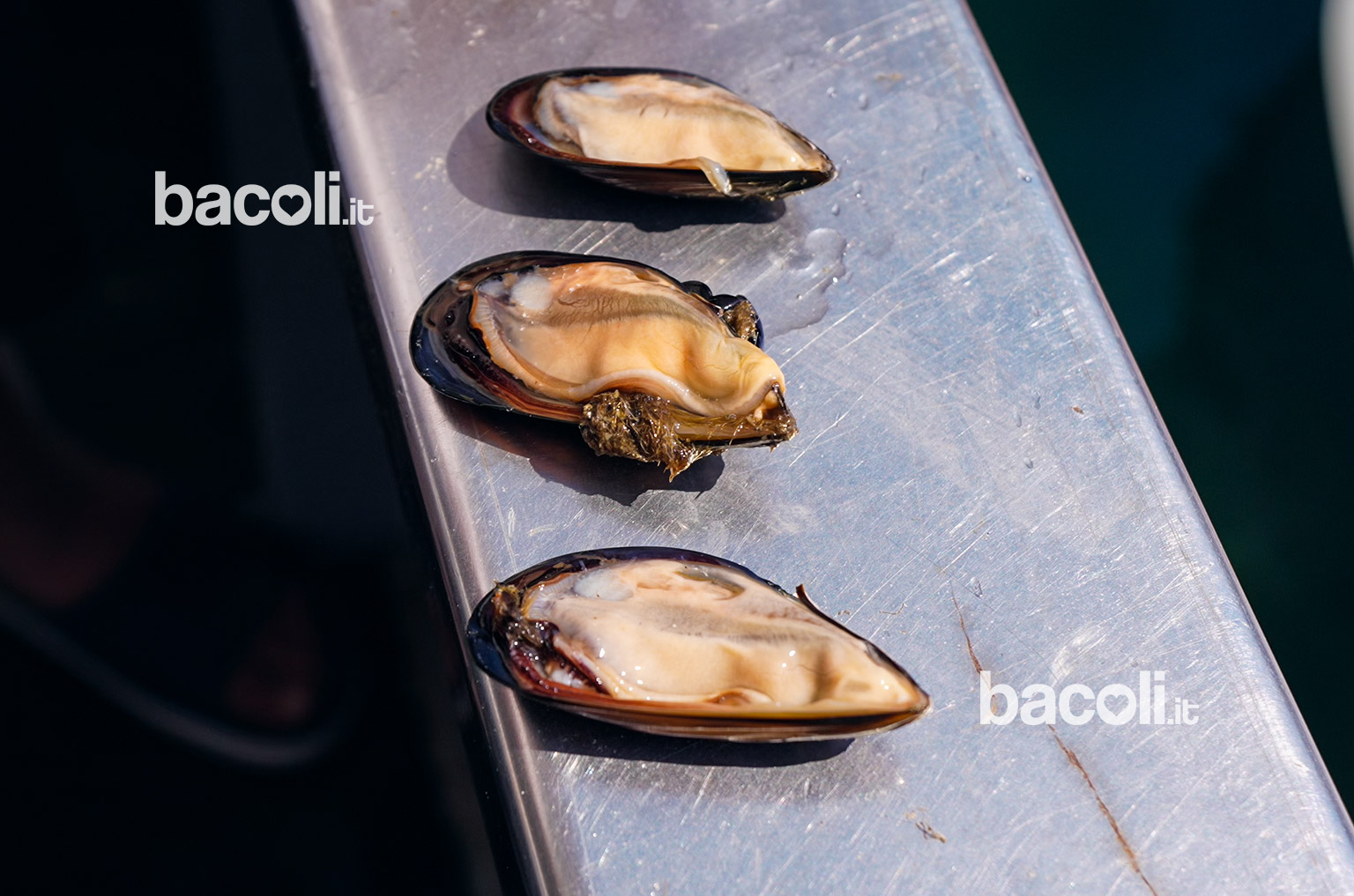 cozze-di-bacoli