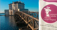 consorzio-vini-campi-flegrei